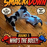 cat, kitten, playful, floor, wooden_floor, black_and_white_cat, white_cat, boxing_gloves, comic_style, text_bubble, cartoon_text, fight, pets, animal, funny, indoor, play, cute, interaction, round_1