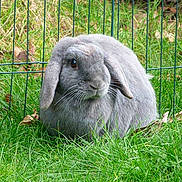 Kéro participe au concours pour gagner de l'argent avec cette photo :