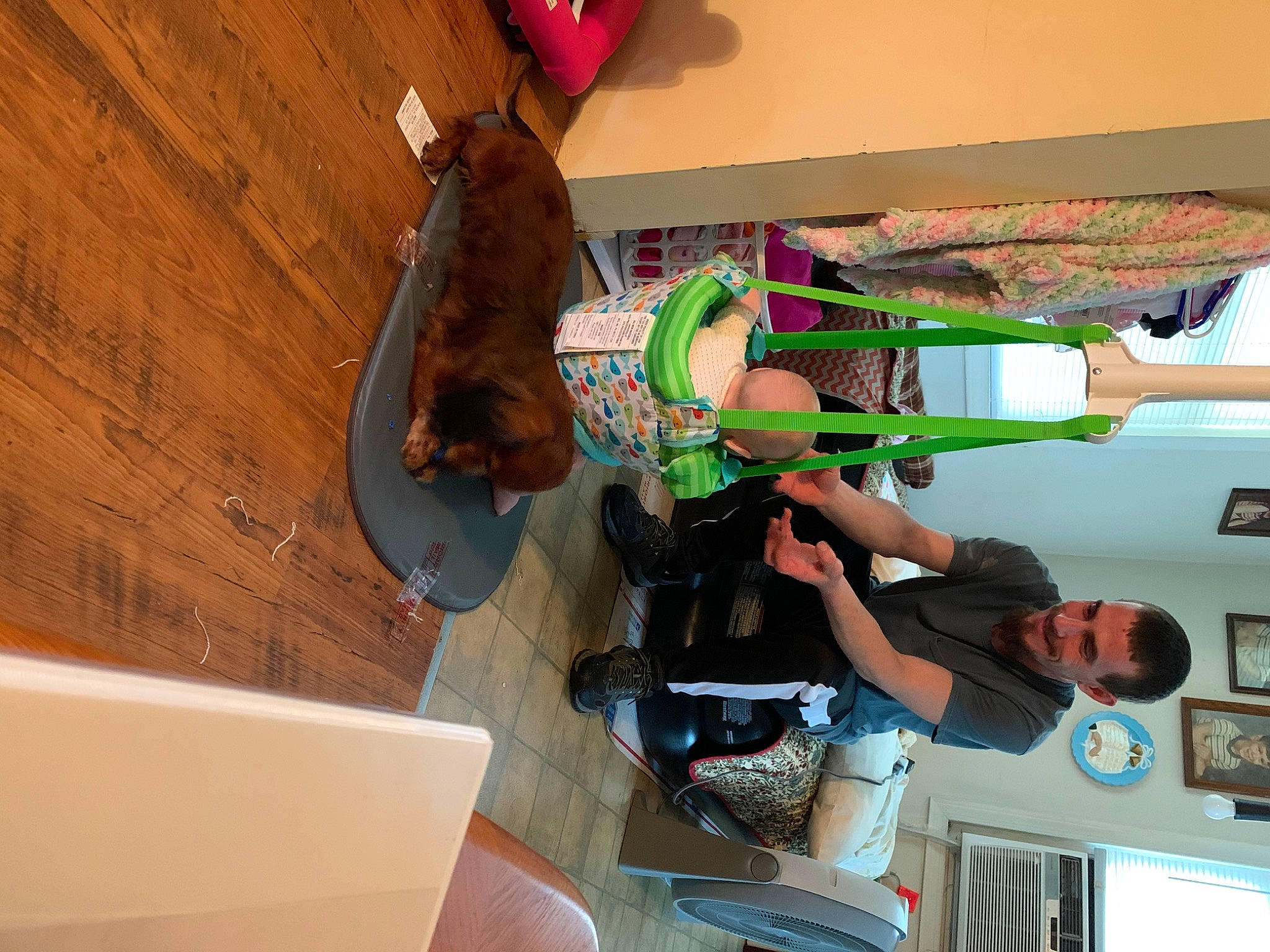 Rolo joined the competition — help win amazing prizes! chair, flooring, fun, hardwood, knee, leisure, machine, room, sandal, shoe, shorts, t_shirt, thigh, visual_arts, wood, wood_flooring, wood_stain