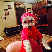 Bella is registered to the contest to win money with this photo: