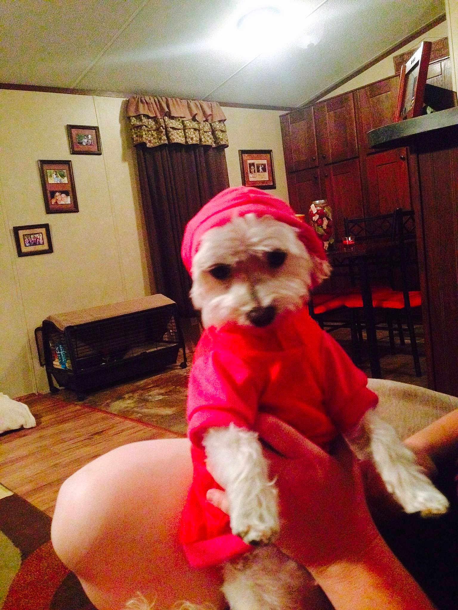 Bella