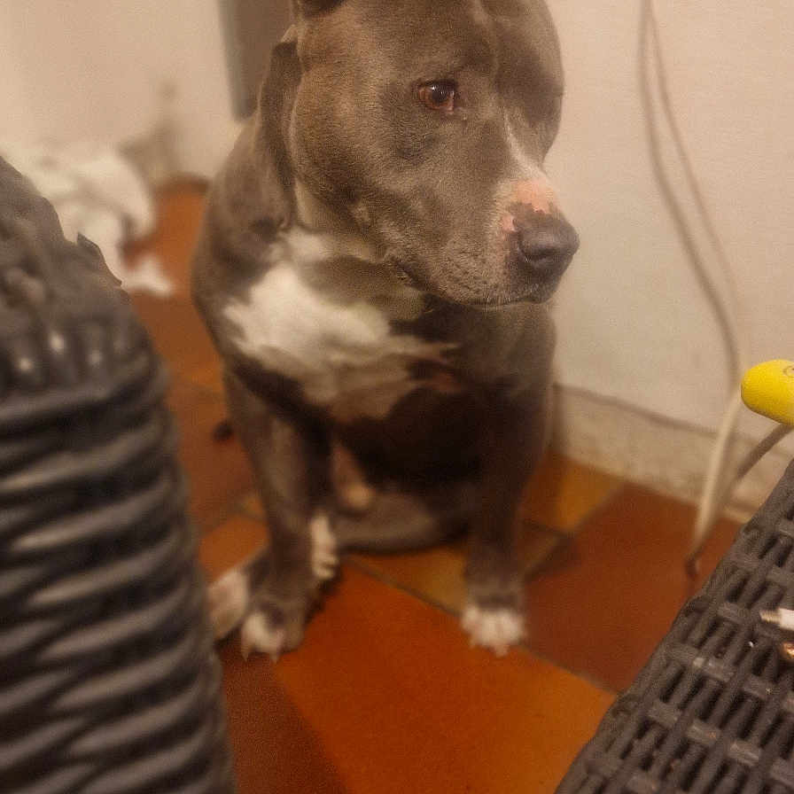 Niska