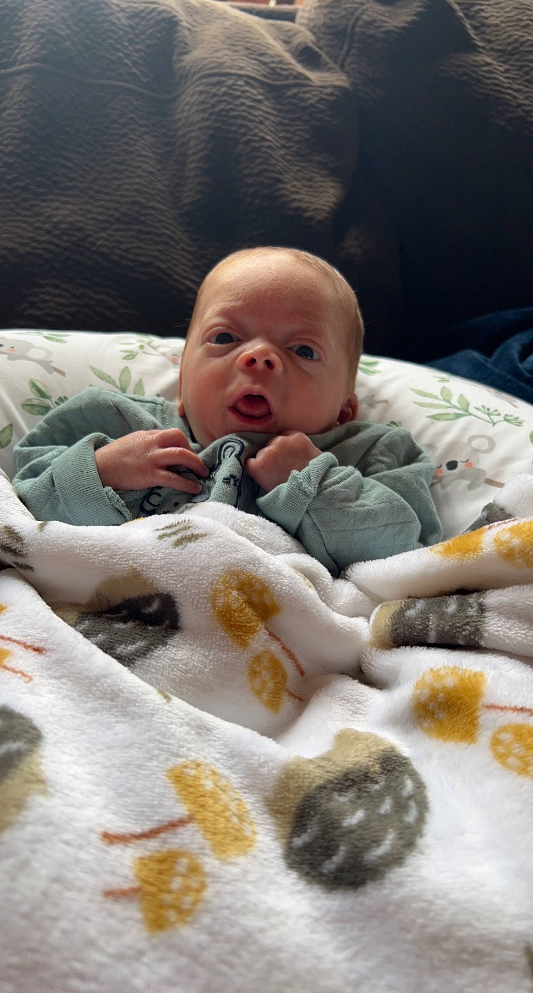 Cairo is registered to the contest to win money with this photo: baby, baby_products, bed, bedding, bedtime, blanket, cheek, child, comfort, eye, fur, human_body, linens, nap, person, room, sitting, skin, sleep, thumb