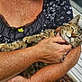 Meow Meow joined the competition — help win amazing prizes! cat, tabby_cat, pet, animal, person, arm, hand, skin, fur, holding, embrace, close_up, outdoor, window, clothing, pattern, ring, relaxed, content, portrait