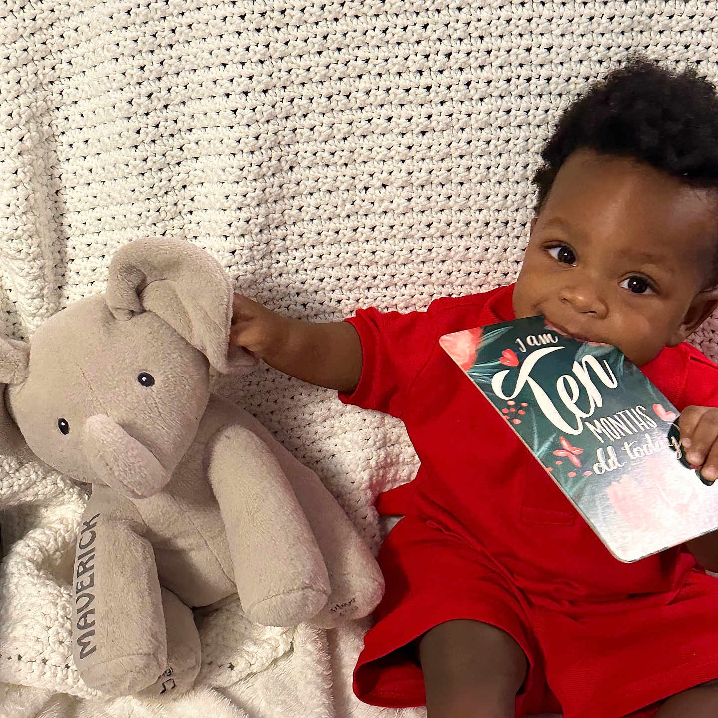Maverick joined the competition — help win amazing prizes! baby, blanket, book, clothing, couch, cushion, face, furniture, head, homedecor, person, photography, plush, portrait, publication, reading, sitting, teddybear, text, toy