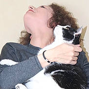 Pascal participe au concours pour gagner de l'argent avec cette photo : cat, cat_like_mammal, ear, fur, kitten, neck, small_to_medium_sized_cats, snout, whiskers