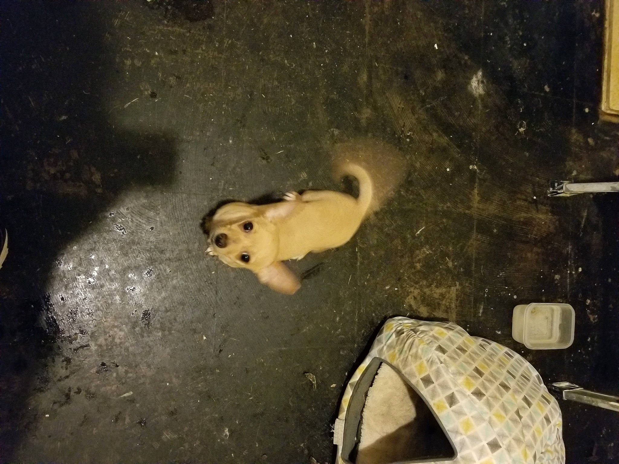 Diamond joined the competition — help win amazing prizes! space