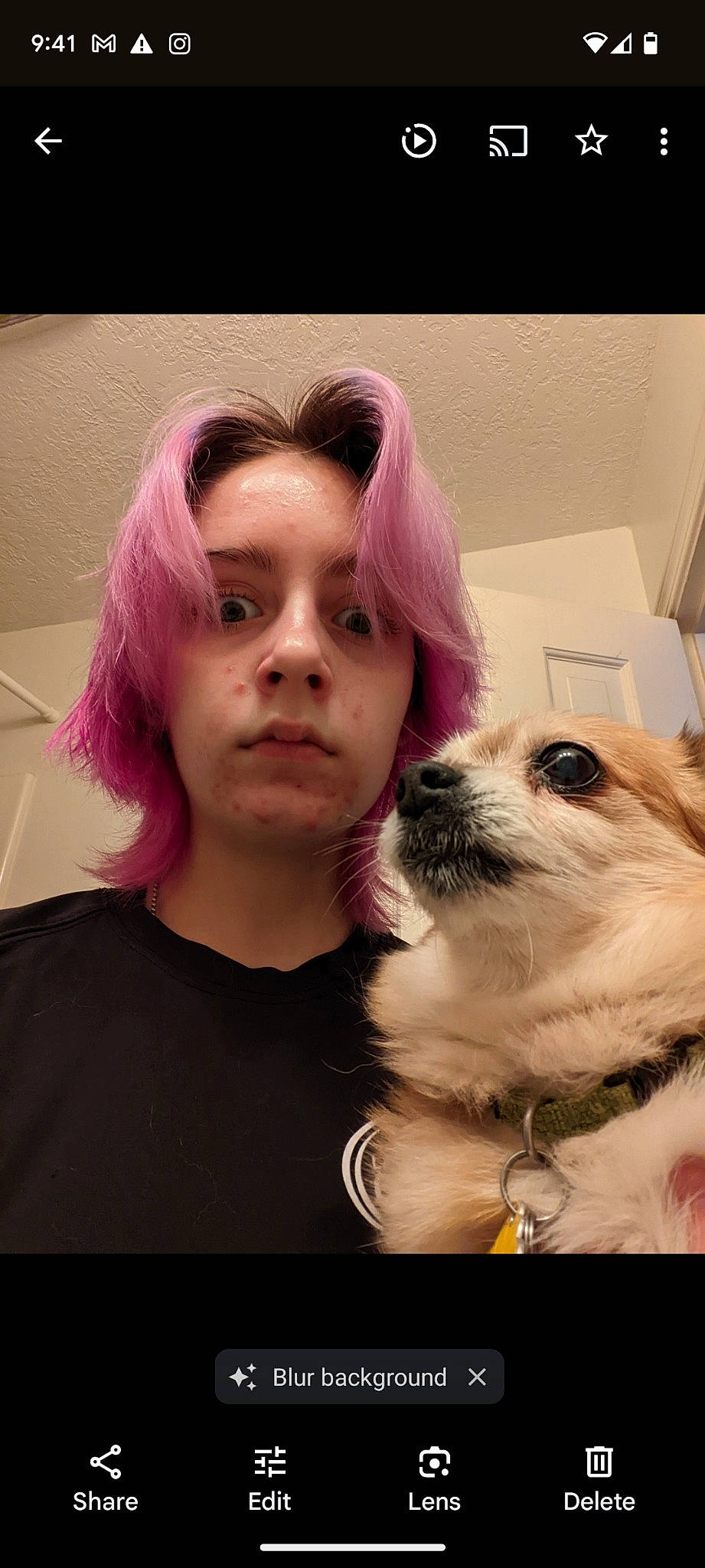 Sweetie is registered to the contest to win money with this photo: bangs, carnivore, companion_dog, dog, dog_breed, ear, eyelash, eyewear, face, fawn, fur, hair, happy, nose, snout, sporting_group, toy_dog, vision_care, whiskers, working_animal