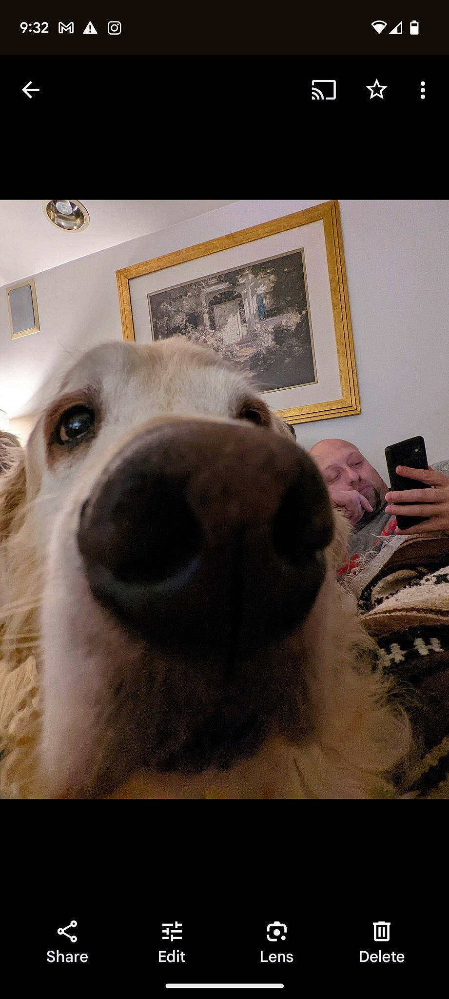 Kevin joined the competition — help win amazing prizes! canidae, carnivore, comfort, companion_dog, dog, dog_breed, ear, flooring, fur, happy, mobile_phone, non_sporting_group, picture_frame, selfie, telephone, whiskers, working_animal