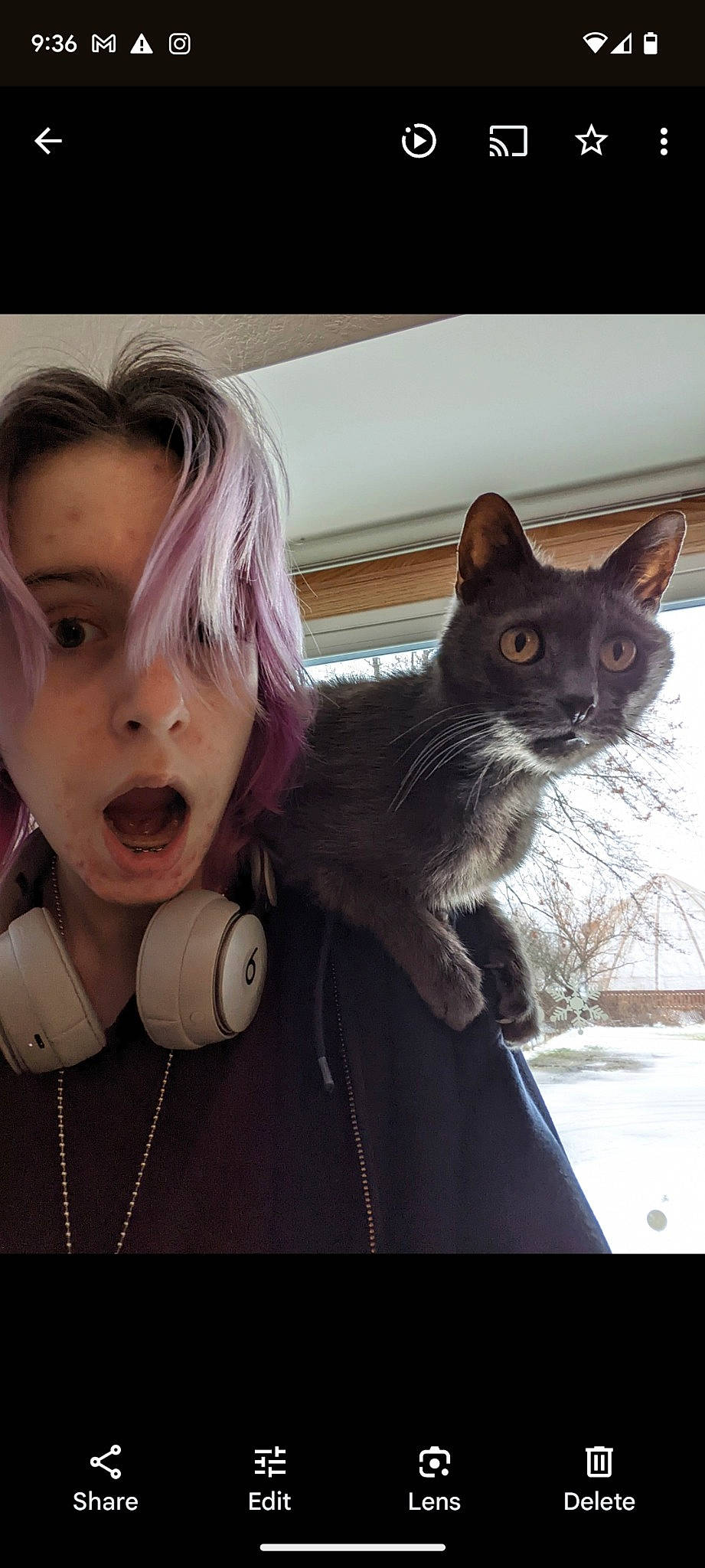 Divot joined the competition — help win amazing prizes! audio_equipment, bangs, carnivore, cat, ear, eye, eyelash, felidae, fur, happy, iris, jewellery, mammal, organ, selfie, small_to_medium_sized_cats, tree, vertebrate, whiskers, window