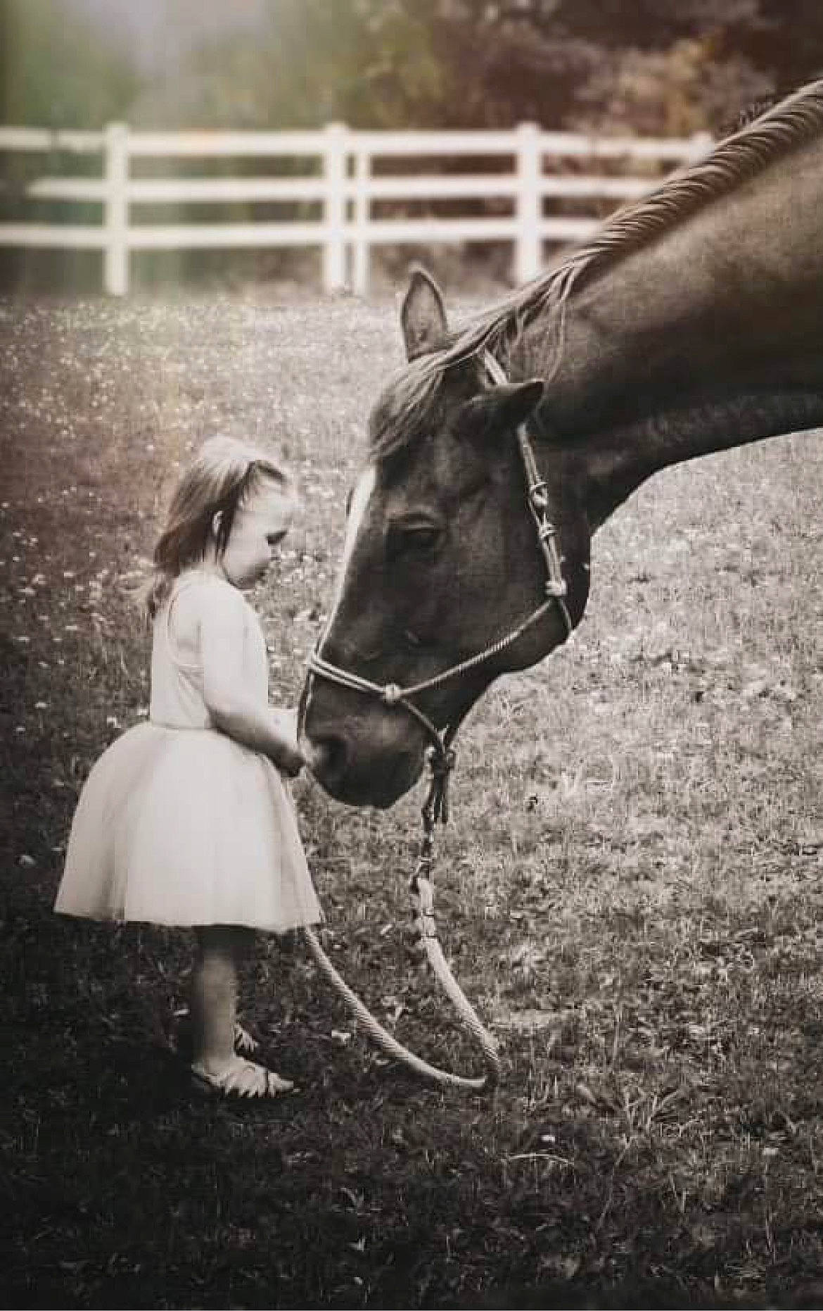 Luna joined the competition — help win amazing prizes! bridle, flash_photography, grass, happy, horse, horse_supplies, horse_tack, landscape, livestock, mane, monochrome, monochrome_photography, pack_animal, person, plant, rein, smile, snout, standing, style
