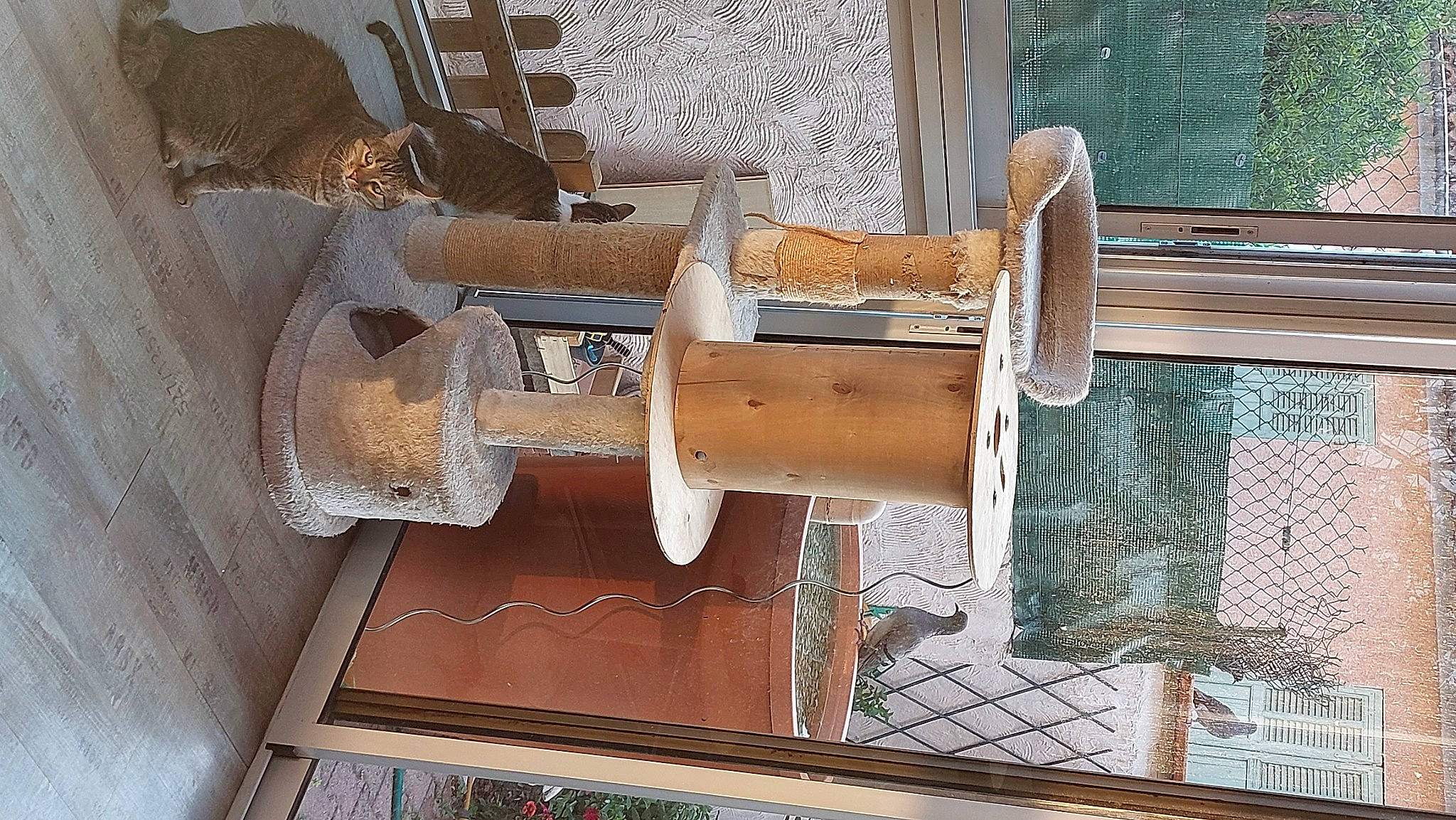 Ulyana a rejoint le concours — aidez-le/la à gagner de superbes lots ! composite_material, door, door_handle, engineering, facade, fixture, hardwood, home_door, latch, lumber, machine, metal, plywood, room, sash_window, window, wood, wood_stain