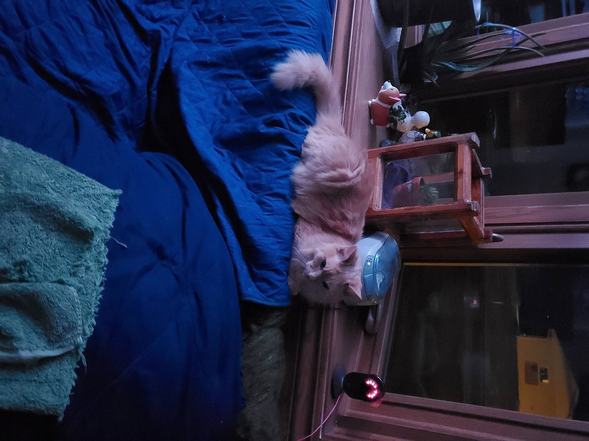 Cashew is registered to the contest to win money with this photo: auto_part, automotive_exterior, automotive_lighting, automotive_window_part, blue_collar_worker, electric_blue, flesh, gas, glass, glove, machine, mechanic, metal, motor_vehicle, room, service, textile, vehicle_door, wood, workwear