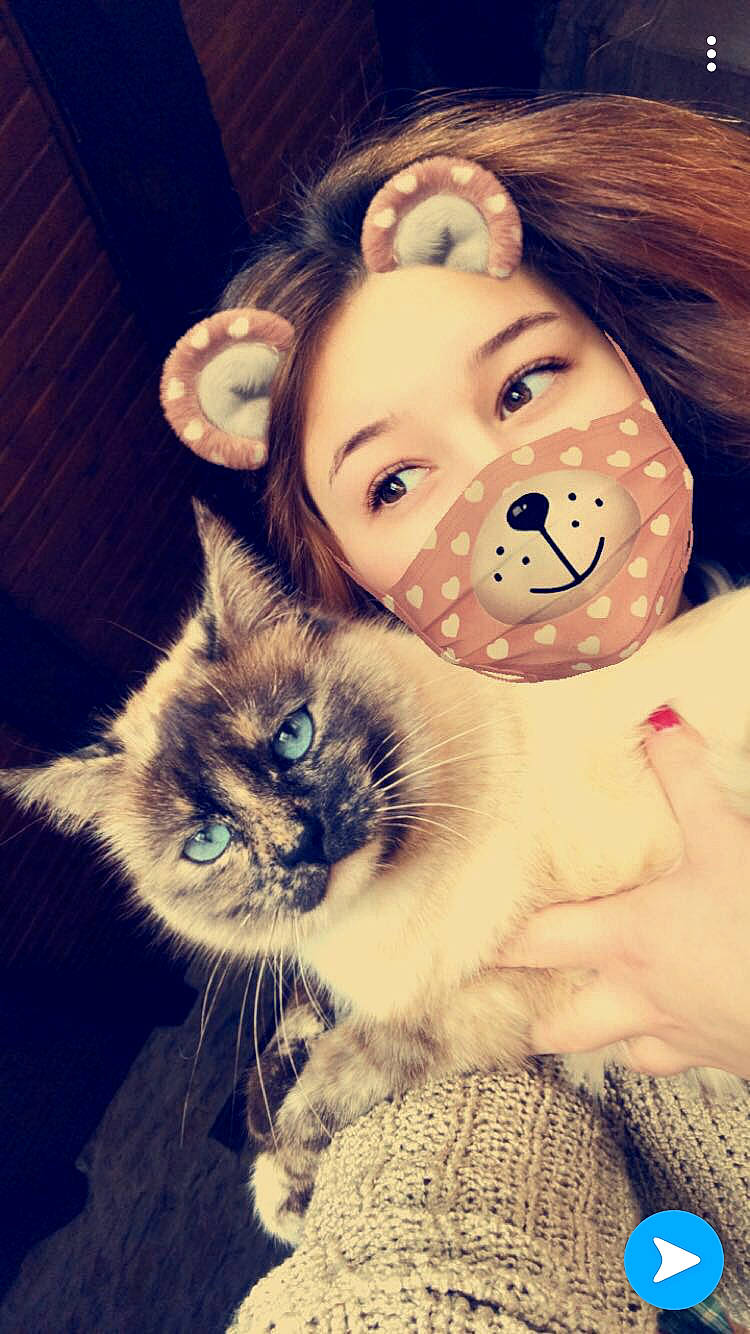 Perle participe au concours pour gagner de l'argent avec cette photo : cat, cat_like_mammal, cheek, eye, face, fur, girl, head, human, iris, kitten, mammal, nose, organ, person, skin, small_to_medium_sized_cats, smile, snapshot, vertebrate