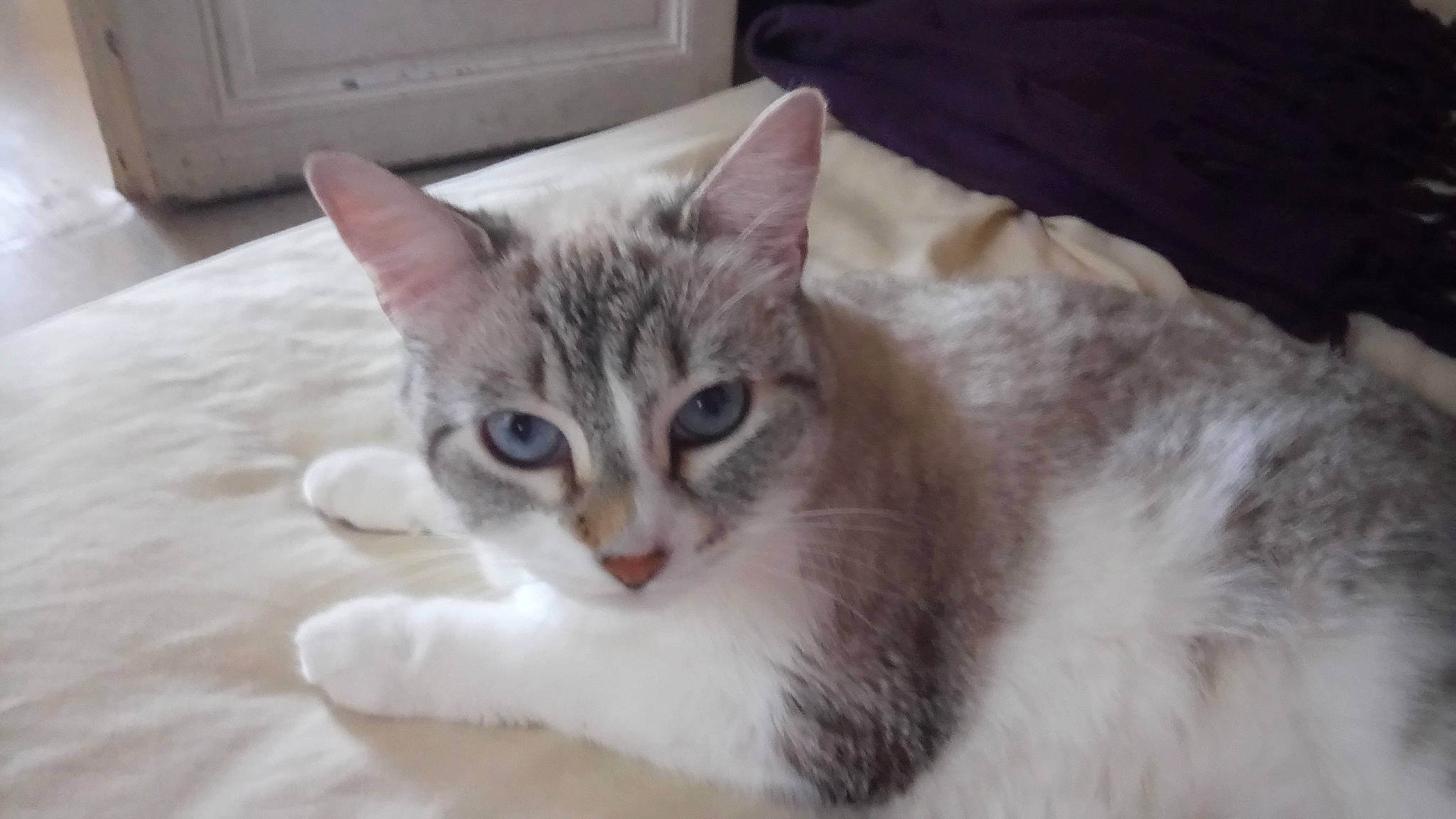 Doudou