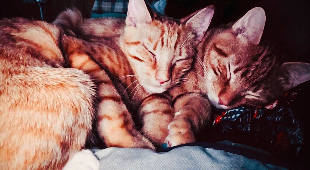 Azreal And Amenadiel