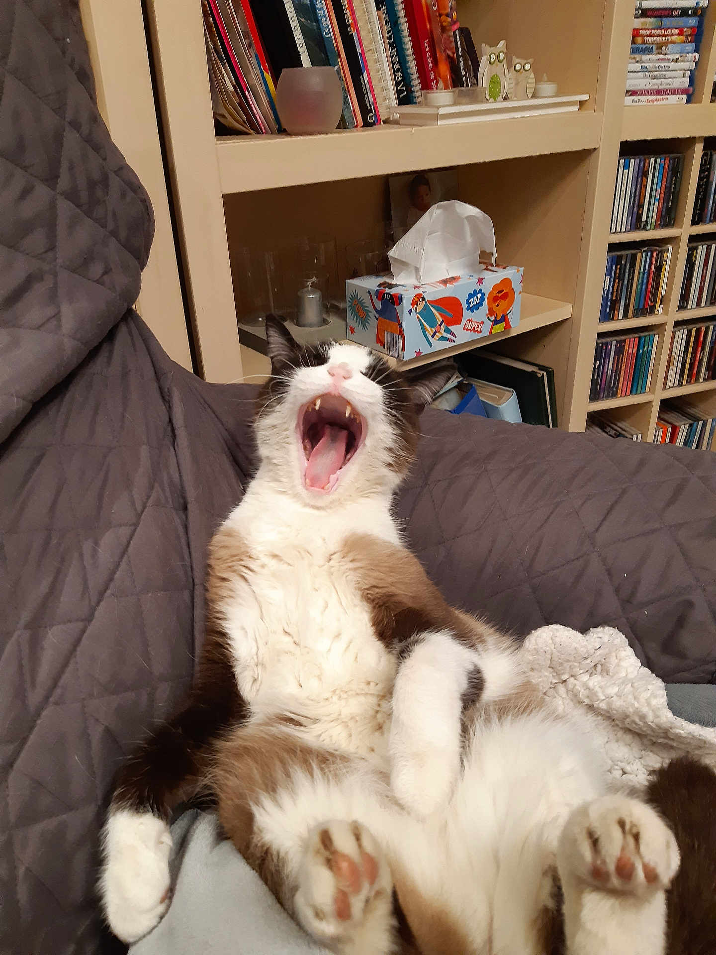 Crunch