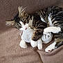 kitten, tabby, cat, playful, plush_toy, soft_toy, brown_blanket, pet, fur, whiskers, claws, cute, indoor, animal, young, cuddling, resting, paws, sleepy, cozy