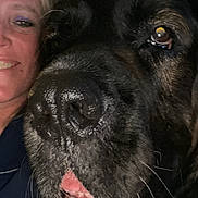 Murphy joined the competition — help win amazing prizes! animal, black_dog, brown markings, close_up, companion, dog, eyes, face, fur, indoors, large_dog, nose, open_mouth, person, pet, portrait, selfie, smiling, tongue, woman