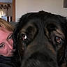 Murphy joined the competition — help win amazing prizes! black_dog, brown_eyes, brown_markings, close_up, companion, dog, eyes, face, floppy_ears, funny, furry, home, human, indoor, long_hair, nose, person, pet, portrait, selfie