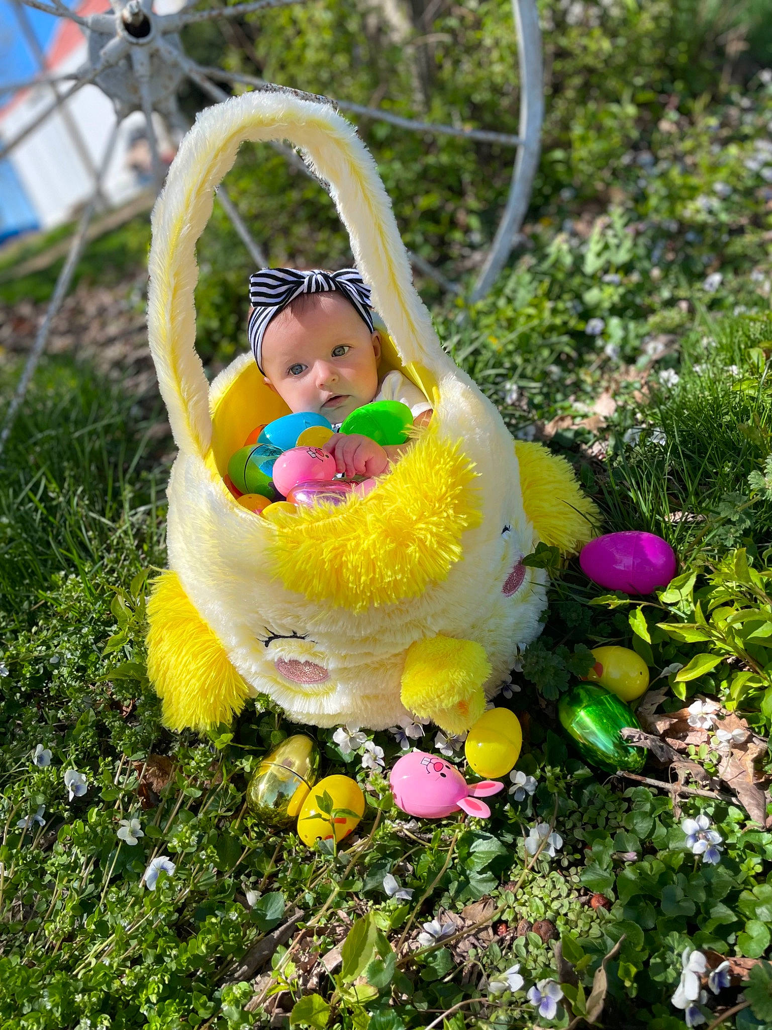 Everlynn is registered to the contest to win money with this photo: botany, doll, event, fun, garden, grass, grass_family, happy, landscape, lawn_ornament, leisure, people_in_nature, person, petal, plant, plush, shrub, stuffed_toy, terrestrial_plant, toy