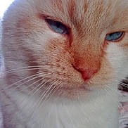 Guizemo participe au concours pour gagner de l'argent avec cette photo :