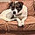 Bosco Butler