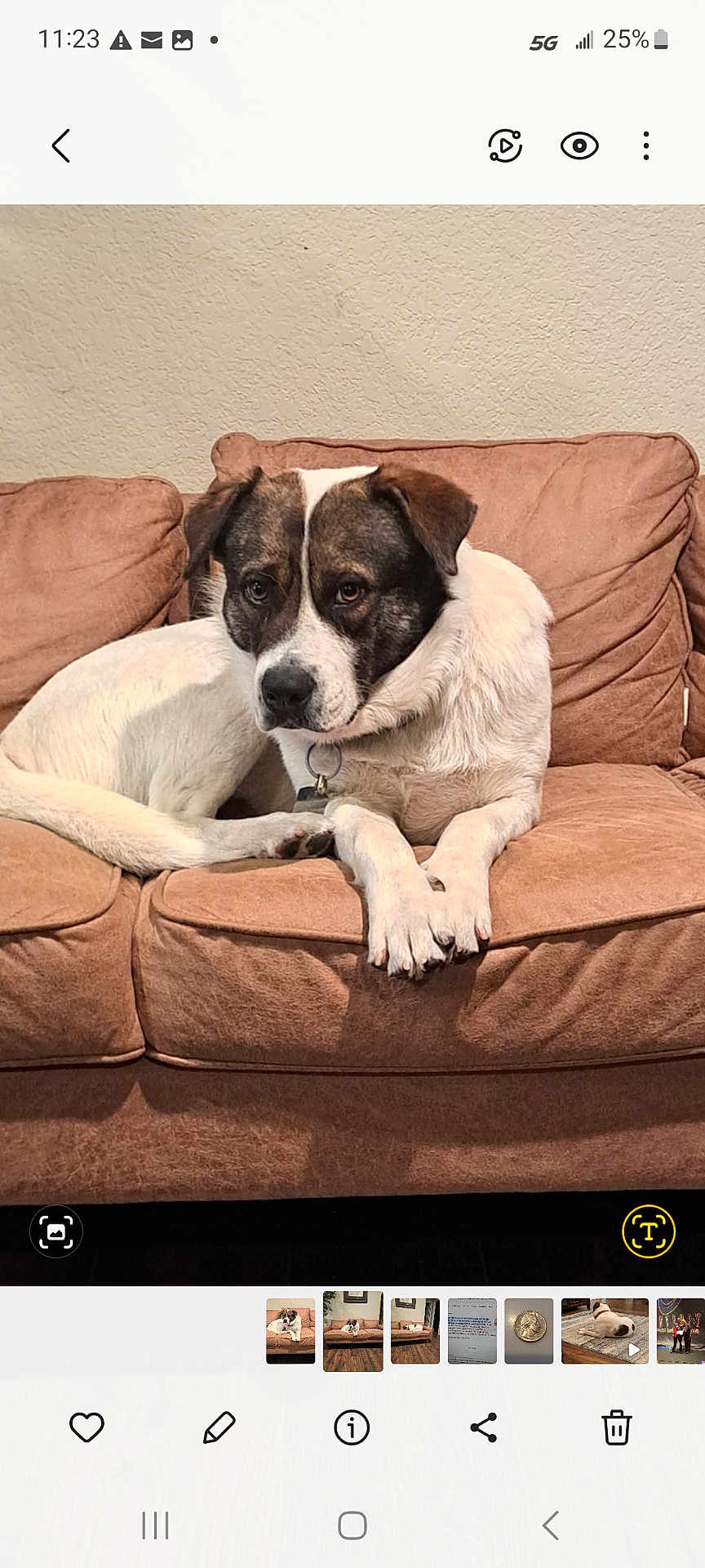 Bosco Butler
