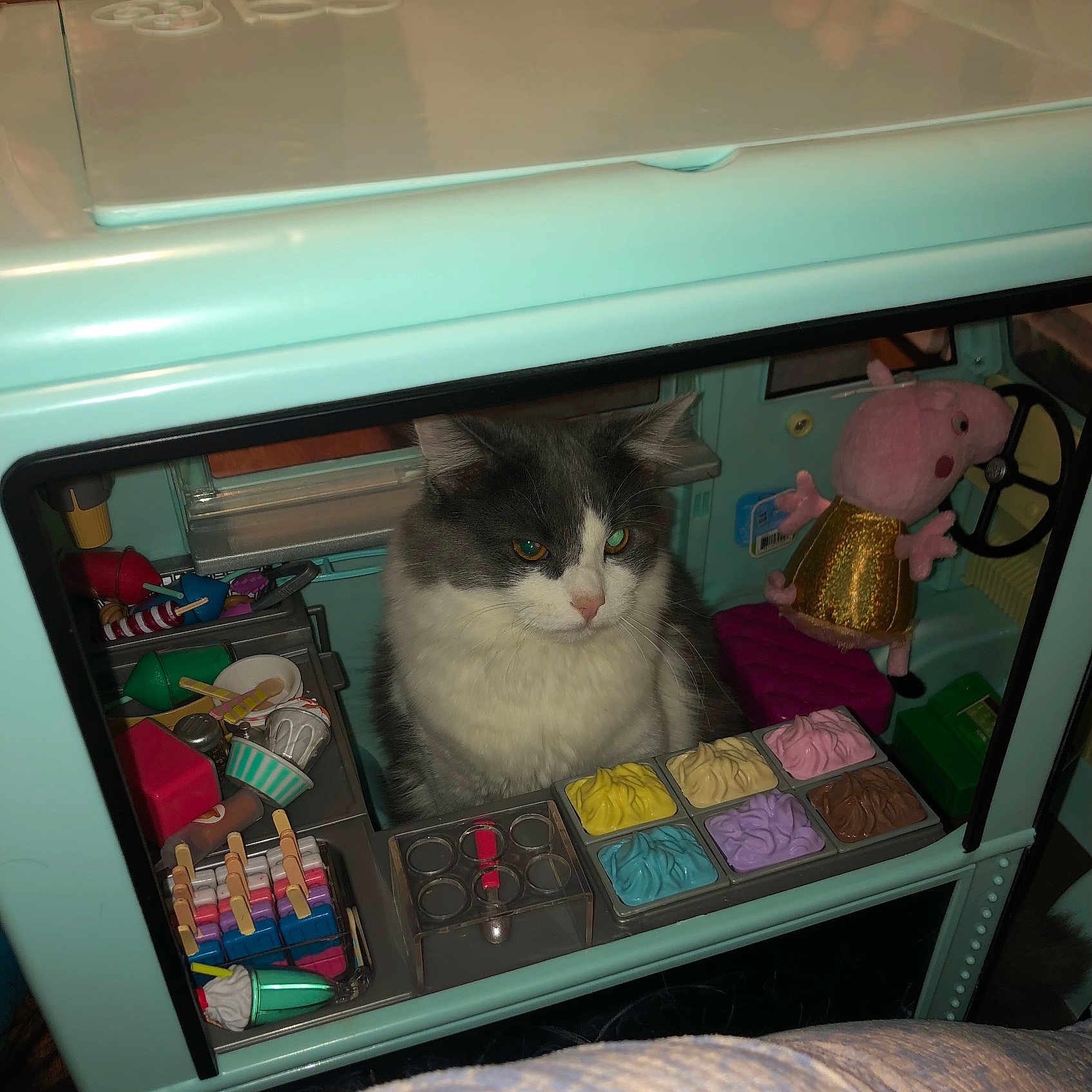 Cookie