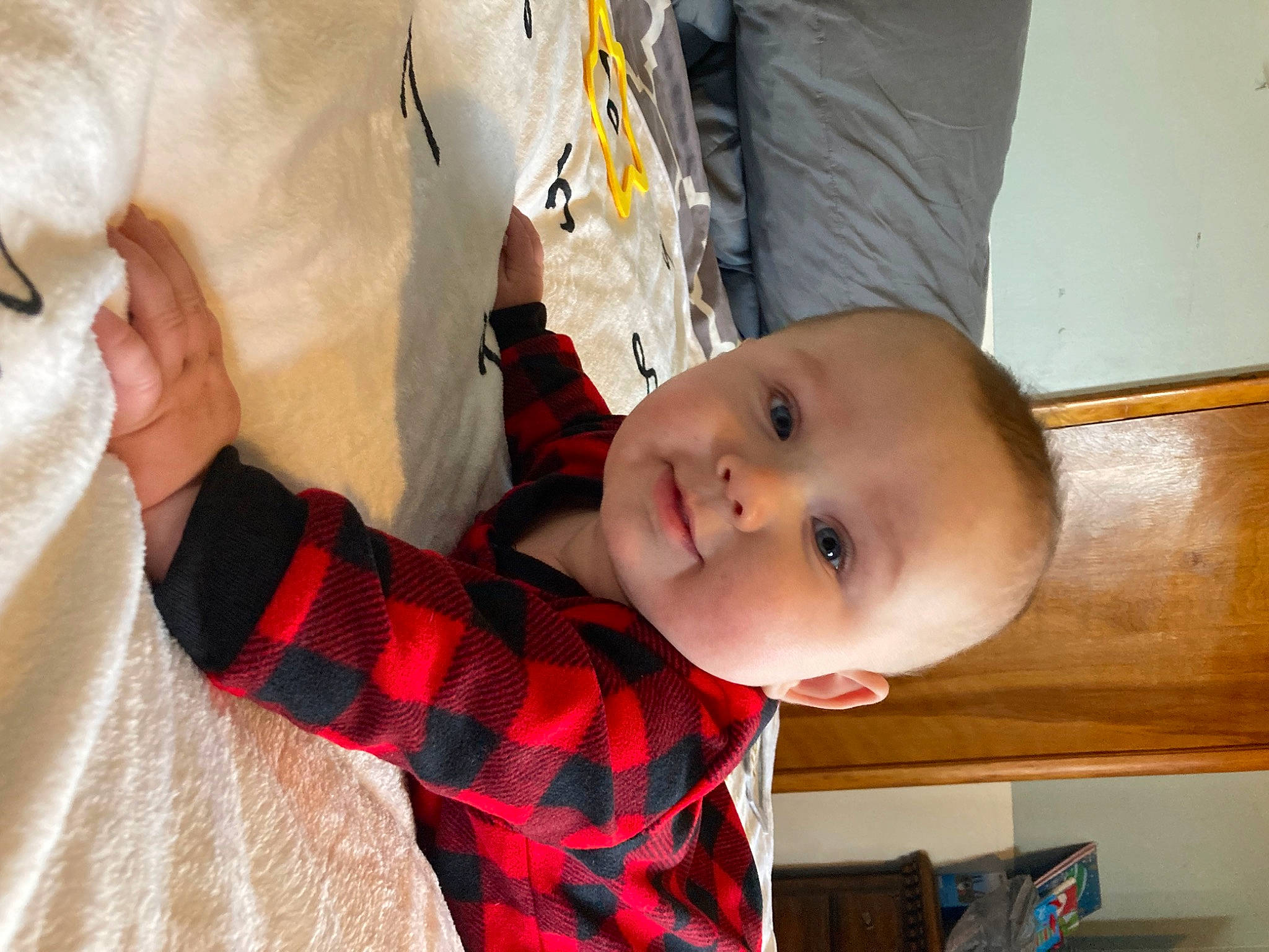Briggs is registered to the contest to win money with this photo: baby, baby_toddler_clothing, child, comfort, fun, fur, hand, happy, linens, nose, pattern, person, plaid, skin, smile, tartan, textile, toddler, tree, vertebrate