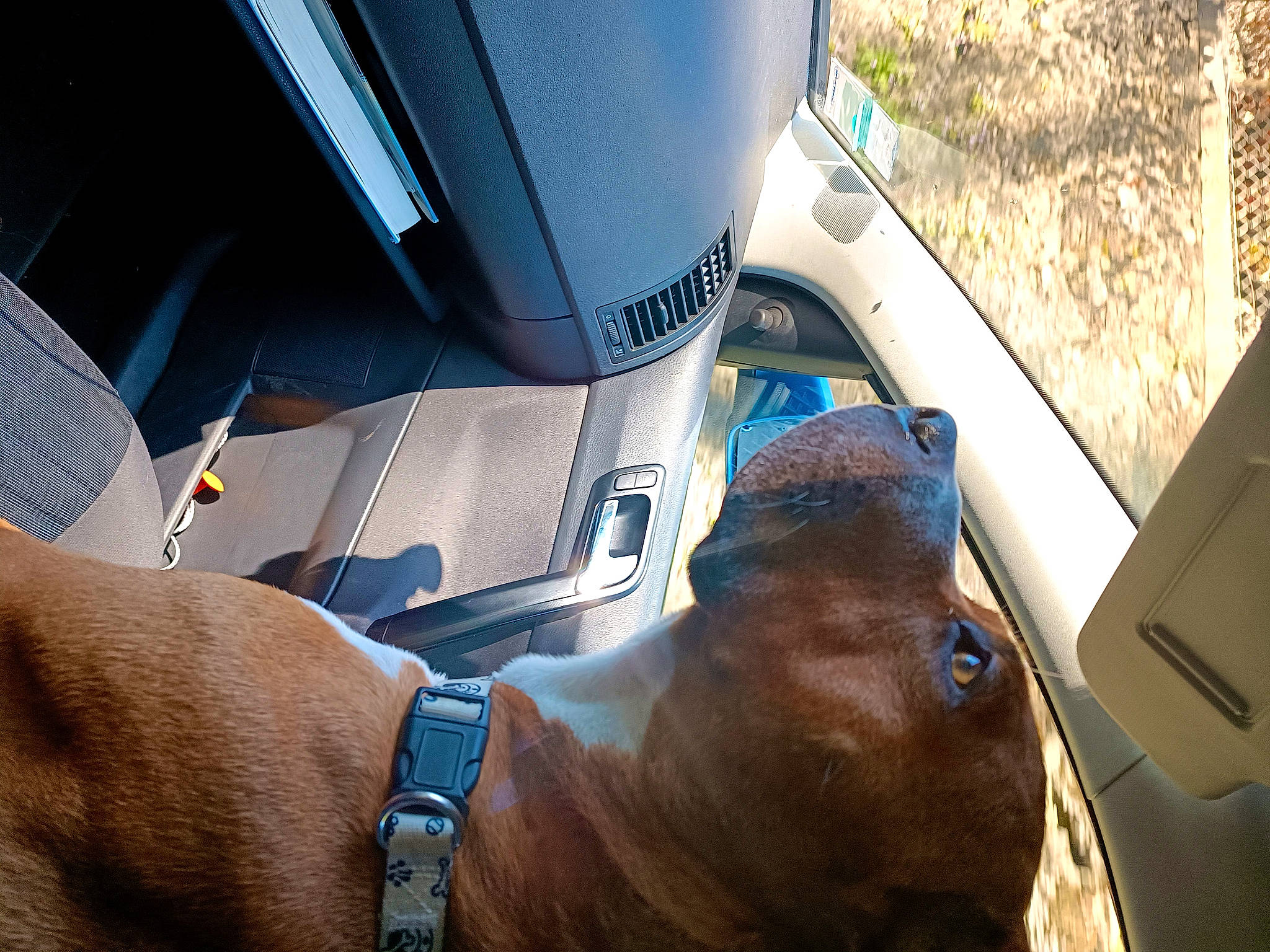 Biggy participe au concours pour gagner de l'argent avec cette photo : auto_part, automotive_design, automotive_exterior, automotive_window_part, beard, cameras_optics, eyewear, glasses, human_body, human_leg, liver, machine, motor_vehicle, personal_protective_equipment, selfie, steering_wheel, sunglasses, vehicle_door, windshield, working_animal