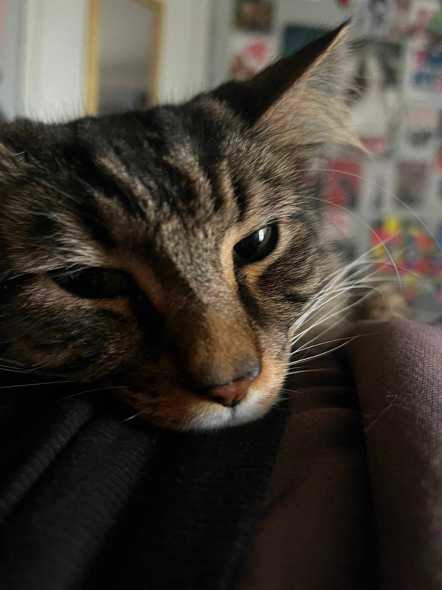Nico