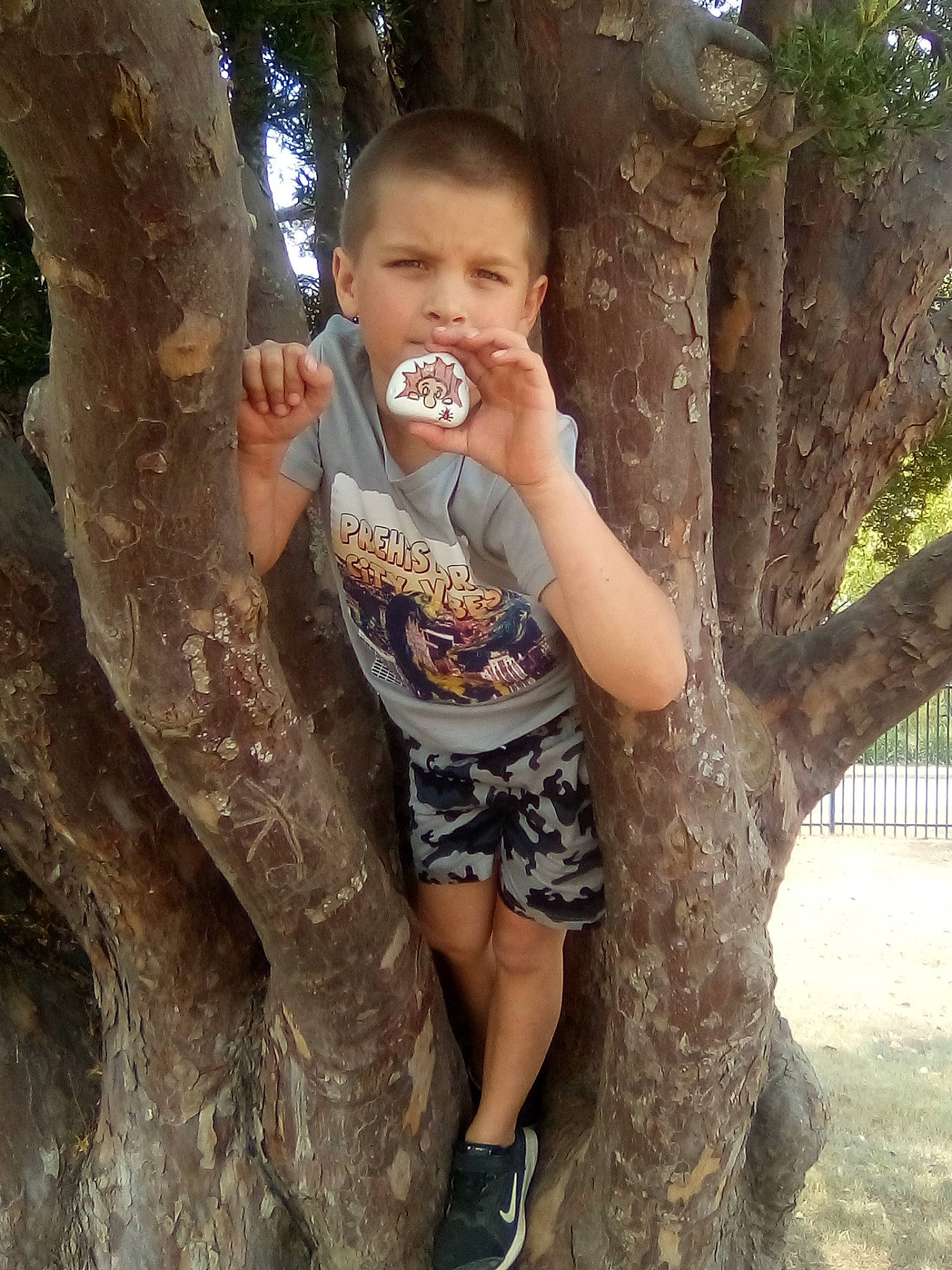 Tyeroy joined the competition — help win amazing prizes! child, fun, leg, person, plant, smile, tree, trunk, woody_plant