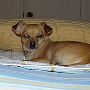Mario is registered to the contest to win money with this photo: