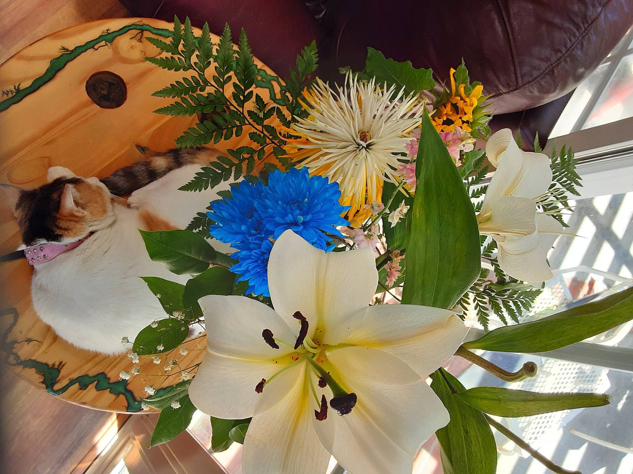 Pebbles joined the competition — help win amazing prizes! art, artificial_flower, bouquet, branch, centrepiece, creative_arts, cut_flowers, decoration, event, feather, floral_design, floristry, flower, flower_arranging, flowering_plant, petal, plant, terrestrial_plant, twig, white