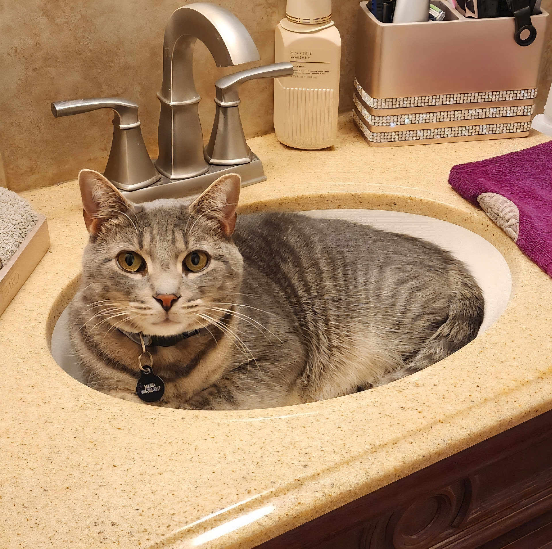 Toby is registered to the contest to win money with this photo: cat, tabby_cat, sink, bathroom, countertop, faucet, soap_dispenser, towel, domestic, pet, gray_cat, curious, indoor, fur, whiskers, collar, tag, relaxed, looking_at_camera, closeup
