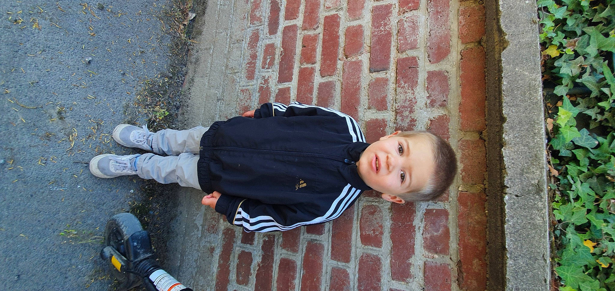 Wayatt a rejoint le concours — aidez-le/la à gagner de superbes lots ! asphalt, brick, brickwork, child, cobblestone, concrete, flooring, human_leg, outdoor_shoe, pattern, pedestrian, person, road_surface, shoe, sidewalk, sitting, smile, street, toddler, walking_shoe