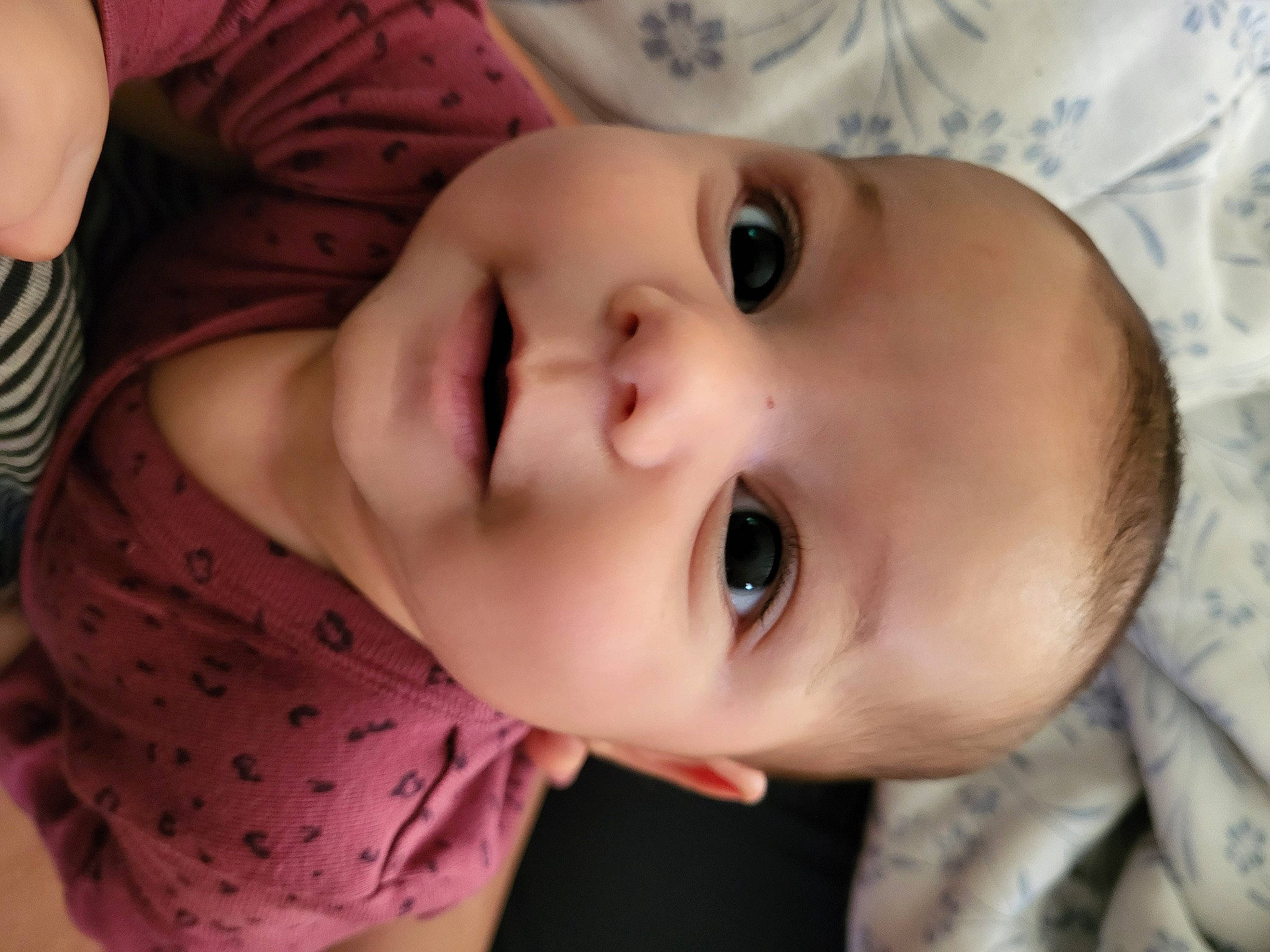 Josephine joined the competition — help win amazing prizes! baby, beauty, cheek, child, chin, eye, eyebrow, eyelash, facial_expression, happy, iris, lip, mouth, nose, people, person, plant, skin, smile, toddler