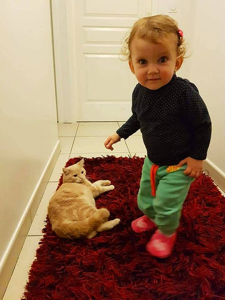 Laura participe au concours pour gagner de l'argent avec cette photo : carnivoran, child, floor, flooring, fun, girl, infant, person, play, product, room, skin, standing, textile, toddler, toy, wood