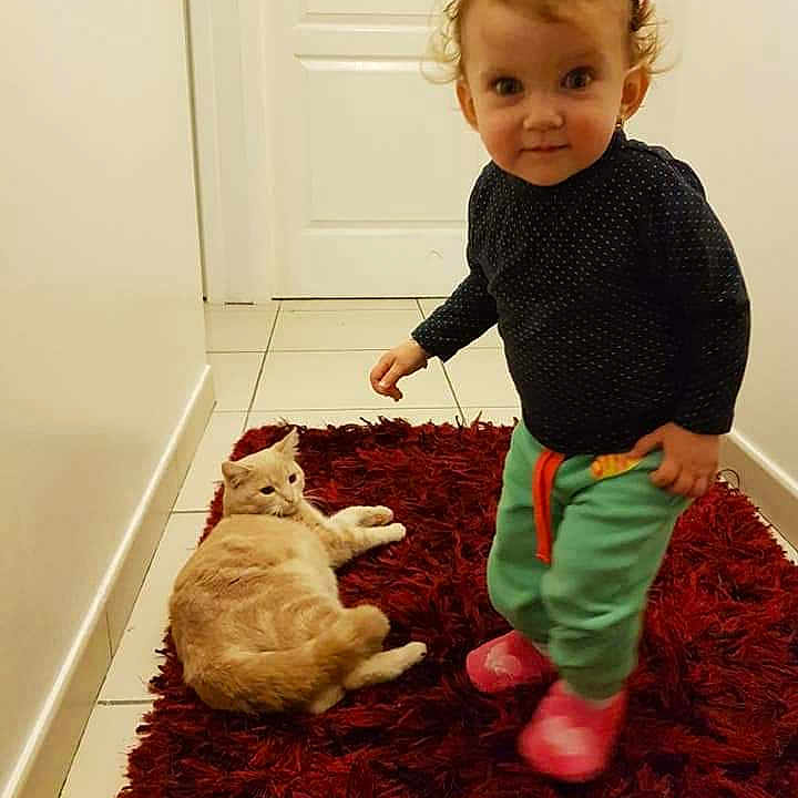 Laura participe au concours pour gagner de l'argent avec cette photo : carnivoran, child, floor, flooring, fun, girl, infant, person, play, product, room, skin, standing, textile, toddler, toy, wood