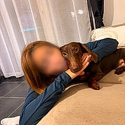 Ron participe au concours pour gagner de l'argent avec cette photo : dog, dachshund, person, couch, indoor, curtains, floor, tile_floor, socks, long_sleeve, brown_dog, pet, affection, cuddle, relaxing, home, furniture, blanket, pillow, comfort