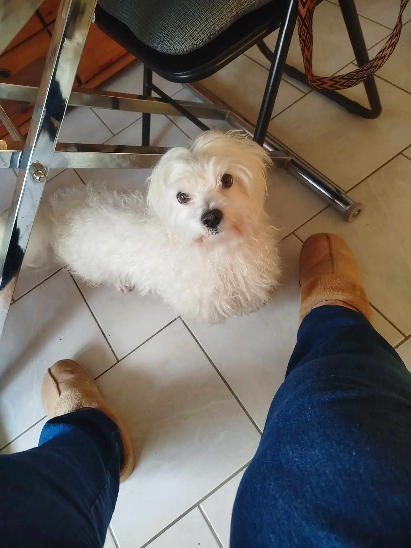 Sweety