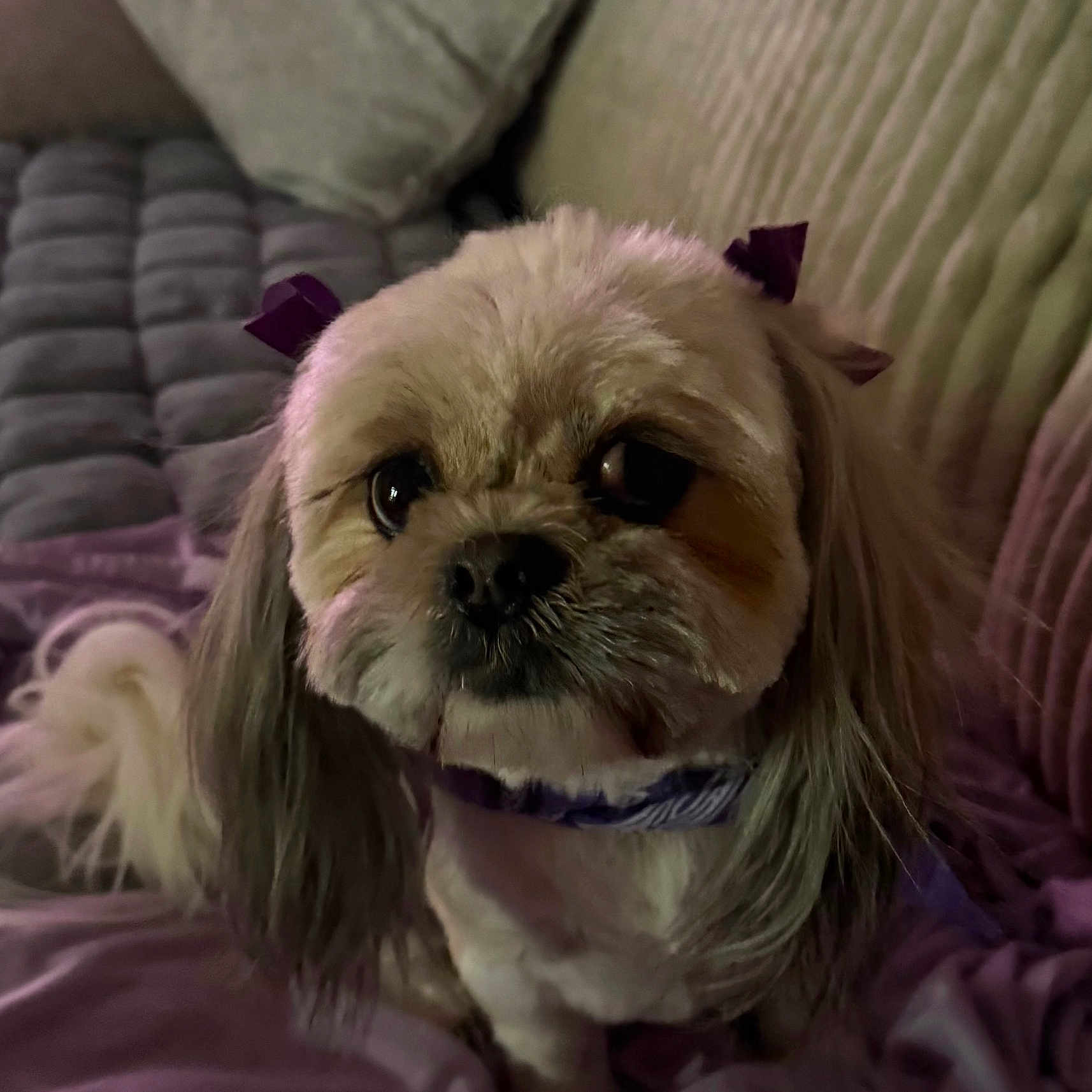 Coco