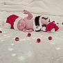 newborn, baby, sleeping, santa_hat, knitted_clothing, red, white, blanket, fairy_lights, christmas_ornaments, holiday, festive, cute, infant, soft_texture, cozy, decorations, indoors, peaceful, portrait