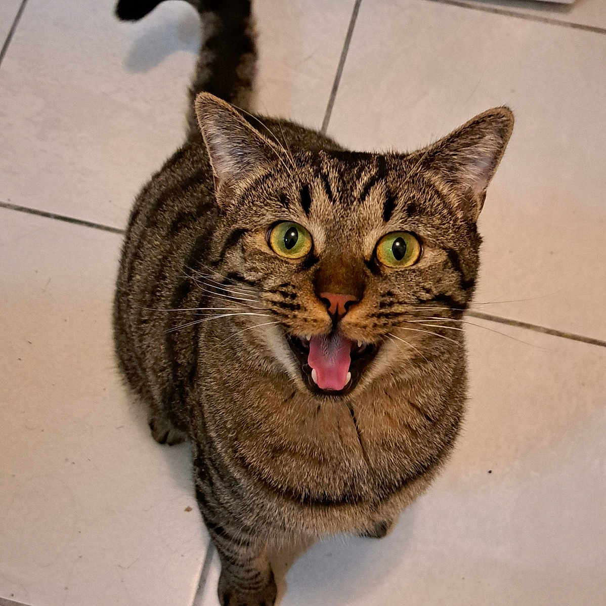 Gus