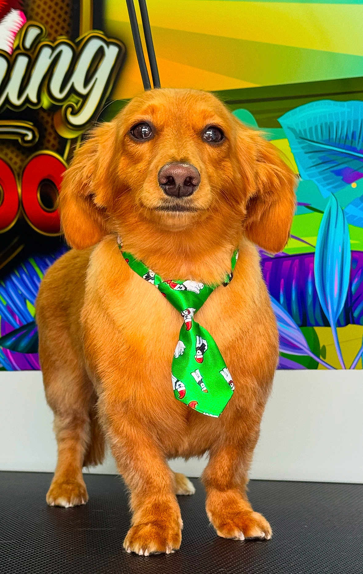 Max