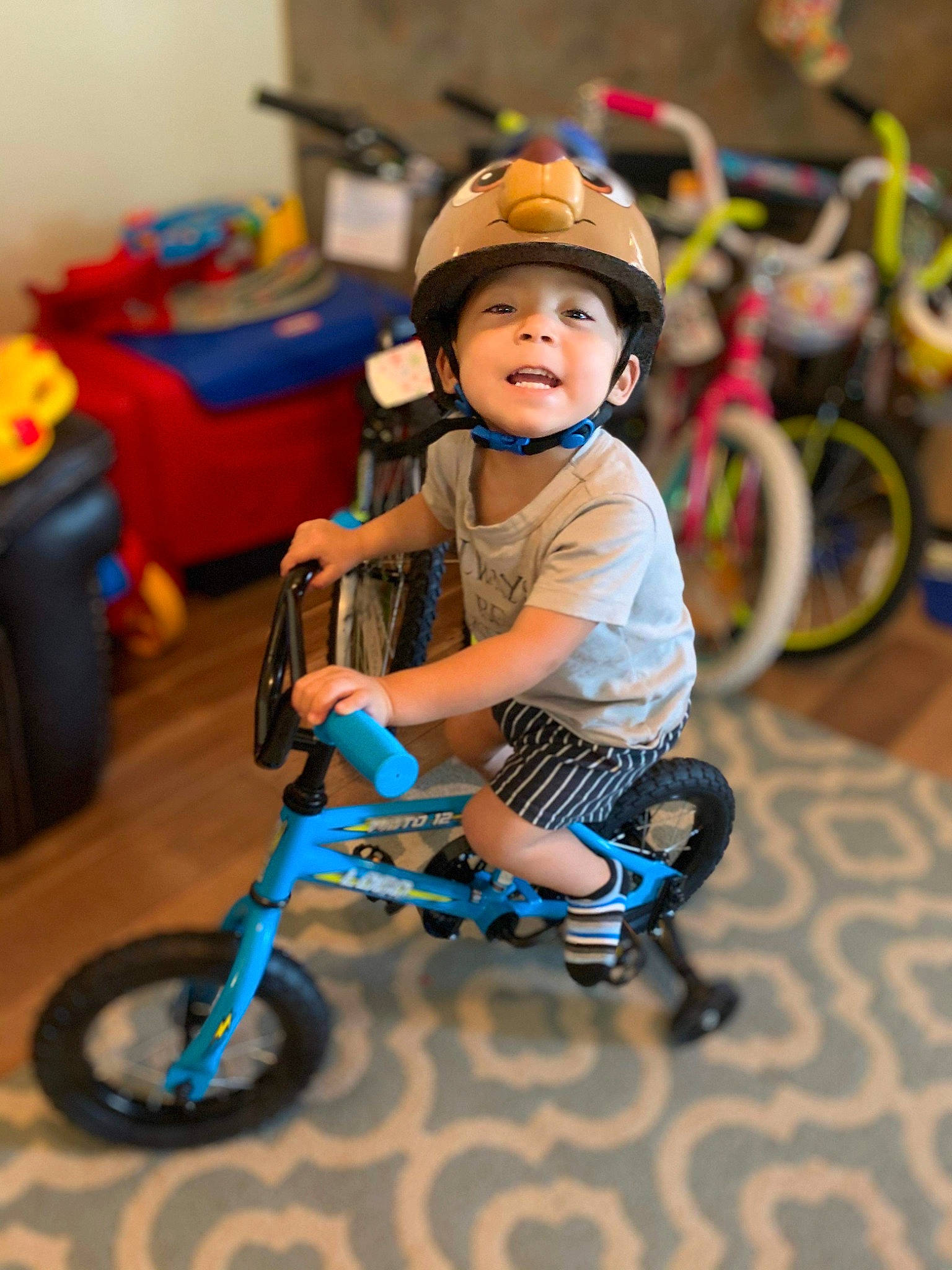 De'Shayne joined the competition — help win amazing prizes! bicycle, bicycle_accessory, bicycle_wheel, bmx_bike, child, cycling, headwear, helmet, person, photography, play, recreation, skin, smile, toddler, tricycle, vehicle, wheel