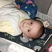 Eden participe au concours pour gagner de l'argent avec cette photo : baby, baby_bed, baby_clothing, blanket, blue_toy, bunny, child, crib, cute, face, gaze, indoors, infant, person, plush_toy, resting, sleeping_area, soft_toys, stuffed_animal, white_vest