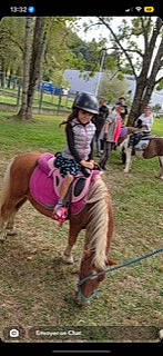 Louna a rejoint le concours — aidez-le/la à gagner de superbes lots ! bit, bridle, equestrian_helmet, equestrian_sport, equestrianism, event, grass, helmet, horse, horse_supplies, horse_tack, landscape, mane, pack_animal, person, recreation, rein, saddle, sports, tree