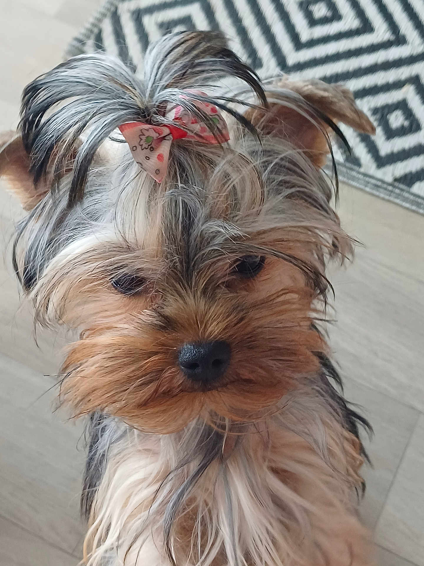Léia